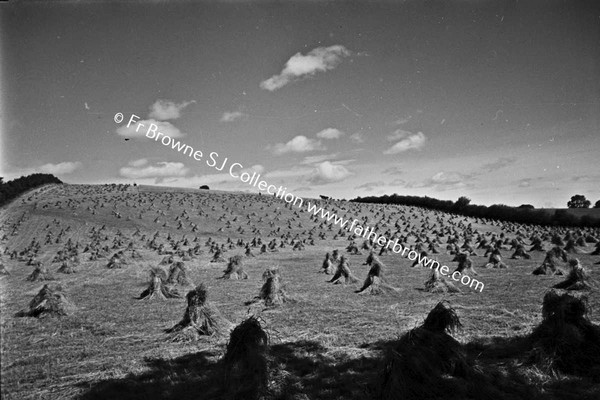 HARVEST SCENES